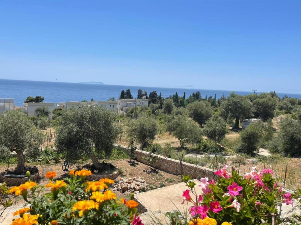 Exclusive Greccia Inn Dhermi Ngoại thất bức ảnh