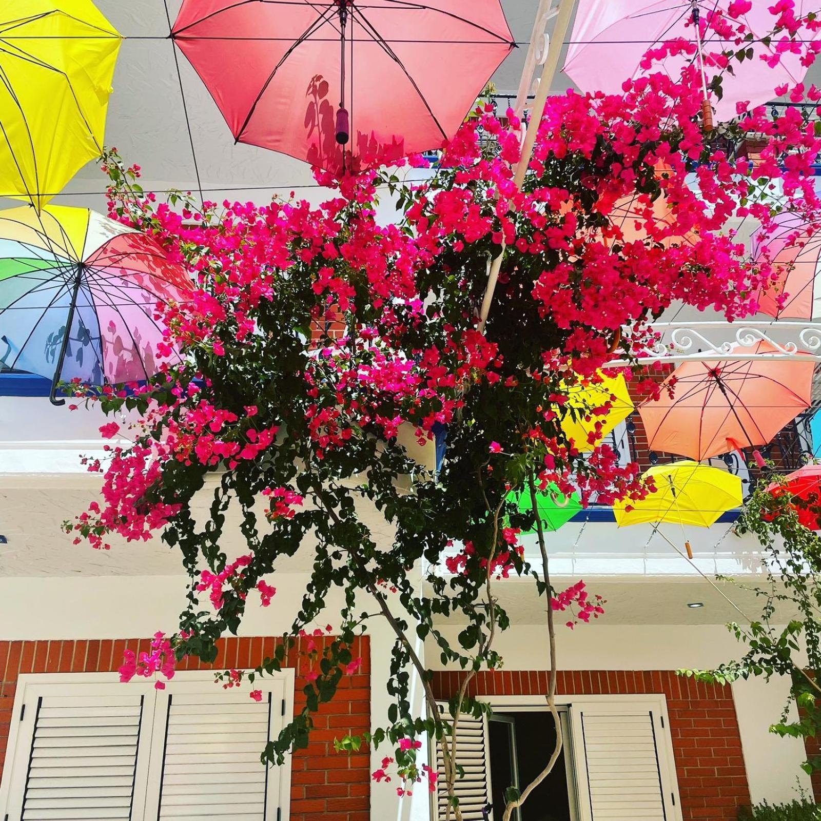 Exclusive Greccia Inn Dhermi Ngoại thất bức ảnh